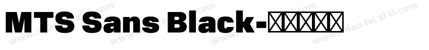 MTS Sans Black字体转换